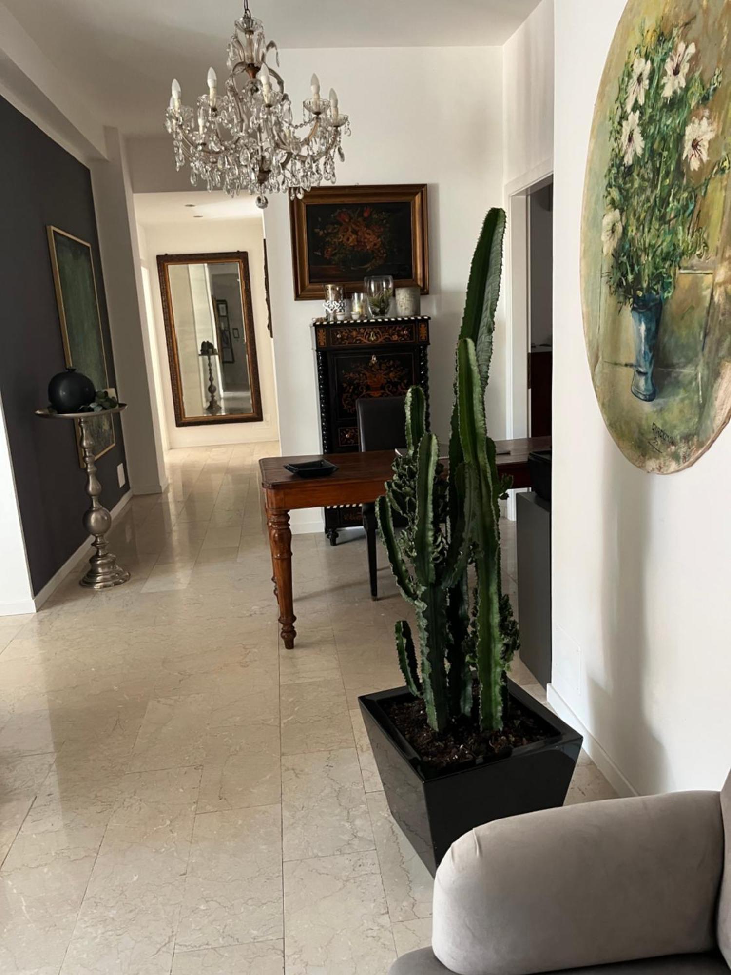 Fleur Blanche Bed & Breakfast Verona Bagian luar foto