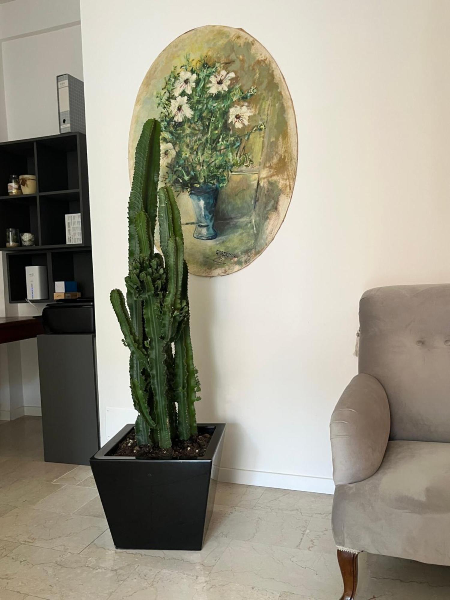 Fleur Blanche Bed & Breakfast Verona Bagian luar foto
