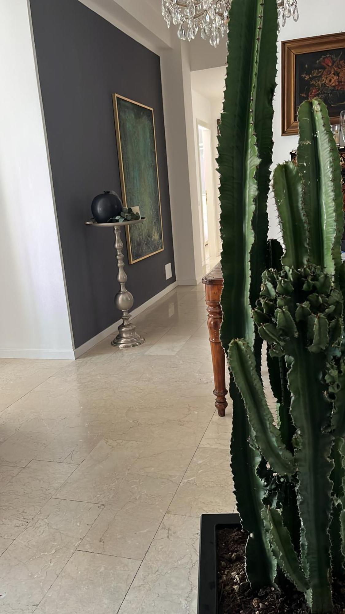 Fleur Blanche Bed & Breakfast Verona Bagian luar foto